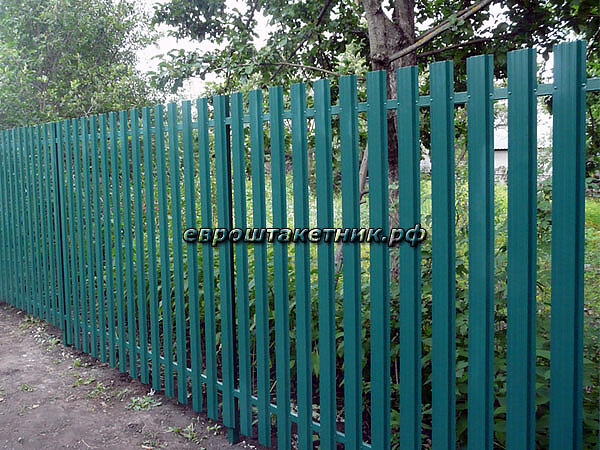 img/ekonova/img14.jpg