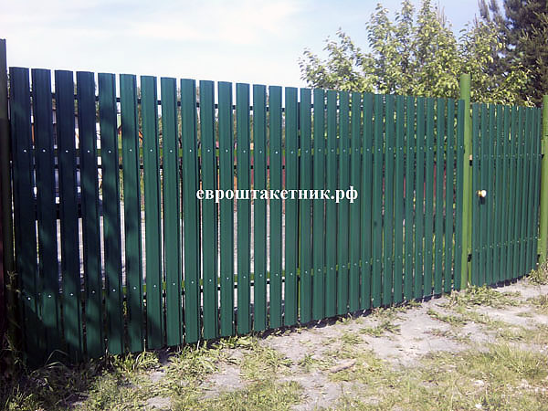 img/ekonova/img24.jpg