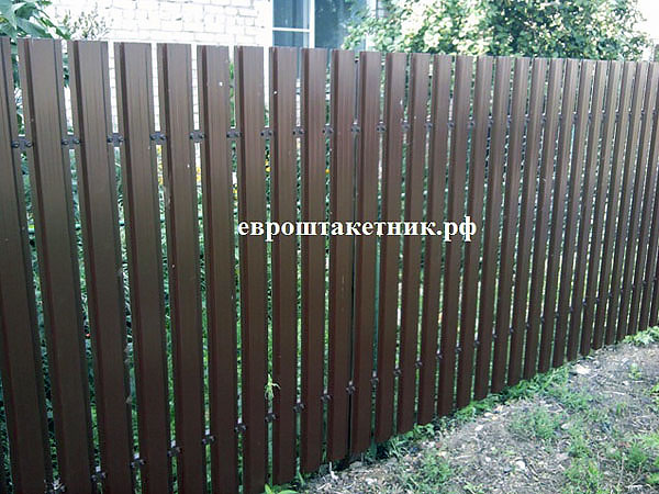 img/ekonova/img25.jpg