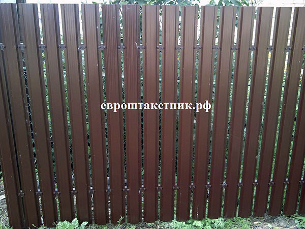 img/ekonova/img26.jpg