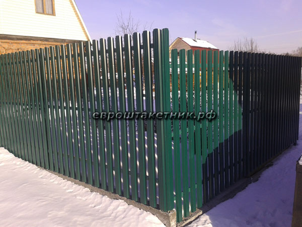 img/ekonova/img4.jpg